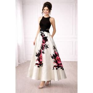 NWT Xscape Colorblock Illusion Floral Accent Gown Gown - Size 2P